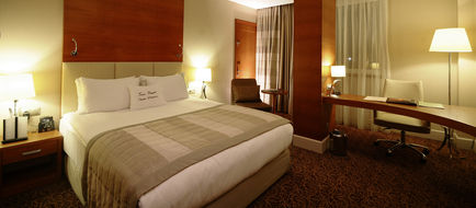 New Park Ankara Hotel Room