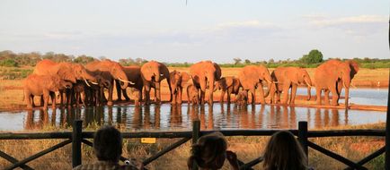 Voi Safari Lodge Recreation