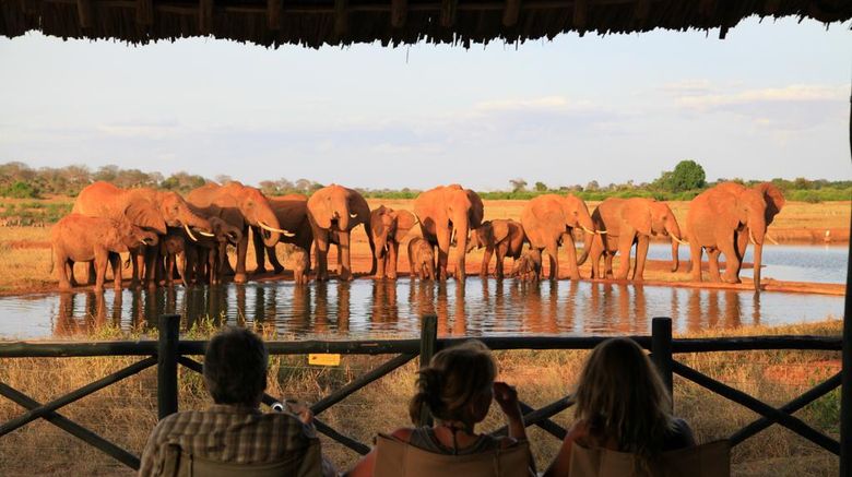 <b>Voi Safari Lodge Recreation</b>