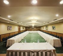 Lemon Tree Hotel, Indore Meeting