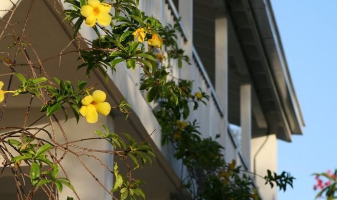 Hut Pointe Inn Exterior