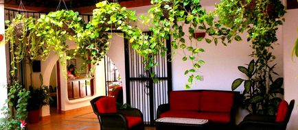 Hotel Catedral Vallarta Lobby