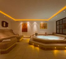 Hotel Alpin Pool