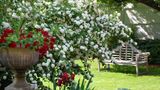 Boardman House Inn Bed & Breakfast Meeting