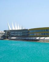 The Dragon Hotel & Resort