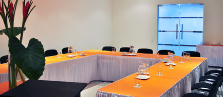Hotel Cartagena Millennium Meeting
