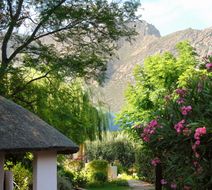 Mimosa Lodge Pool