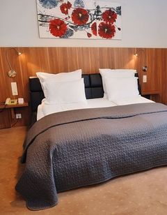President Hotel Timisoara