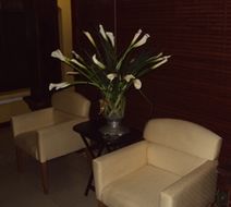 Hotel Aloha Meeting