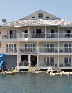 Tropical Suites