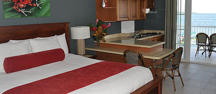 Tropical Suites Suite