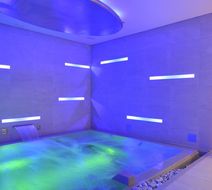 Ramada Plaza Milano Pool