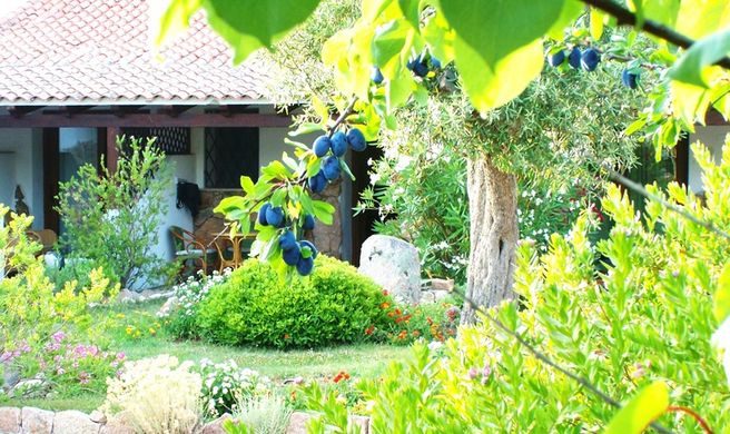 Club Hotel Ragno d'Oro Vignol Exterior