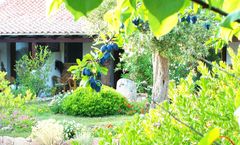 Club Hotel Ragno d'Oro Vignol
