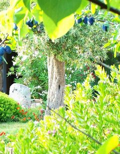 Club Hotel Ragno d'Oro Vignol