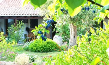 Club Hotel Ragno d'Oro Vignol