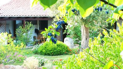 Club Hotel Ragno d'Oro Vignol