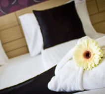 Z Executive Boutique Hotel Room