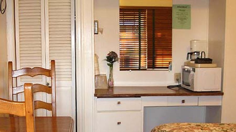 Jumping Frog Motel Room