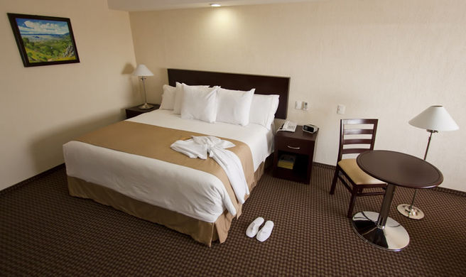 Hotel Ejecutivo Express Room