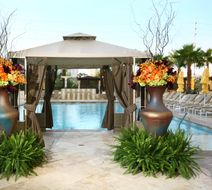 Luxury Suites Intl at The Signature Pool