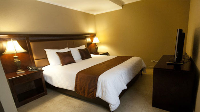 ExpoCentro Hotel  and  Suites Room