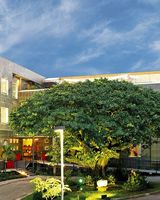 Studio Hotel