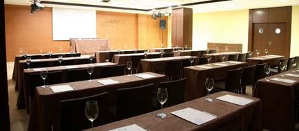 Veracruz Plaza & Spa Valdepenas Meeting