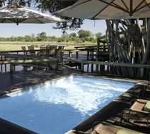 Savuti Camp Pool