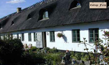 Cottage Farm