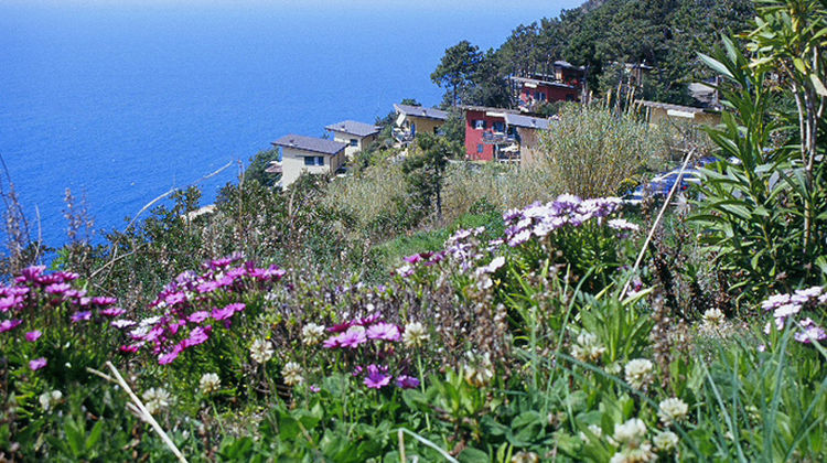 Resort La Francesca Exterior