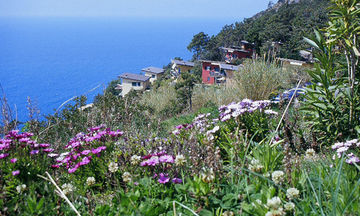 Resort La Francesca