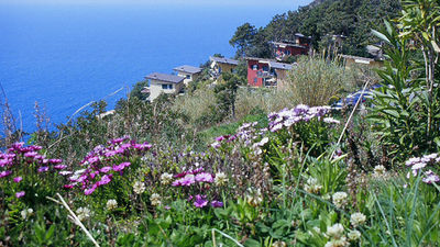 Resort La Francesca