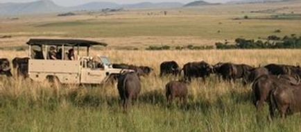 Nkomazi Game Reserve Recreation