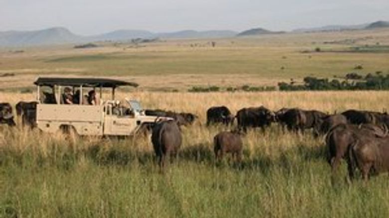 <b>Nkomazi Game Reserve Recreation</b>