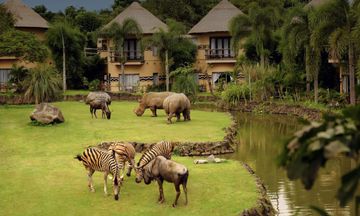 Mara River Safari Lodge
