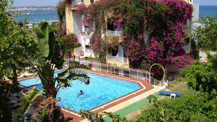 Iliostasi Beach Apartments