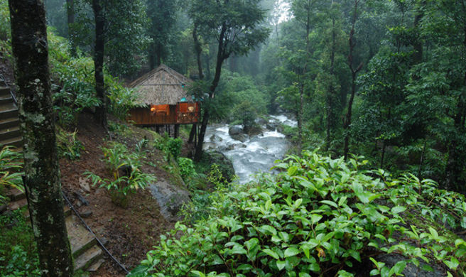 Blue Ginger Wayanad Resorts Exterior