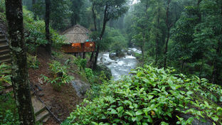 Blue Ginger Wayanad Resorts