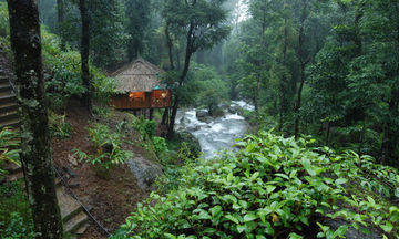 Blue Ginger Wayanad Resorts