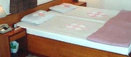 Hotel Bhooshan Room