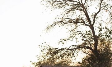 Chobe Under Canvas