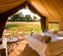 Chobe Under Canvas Suite