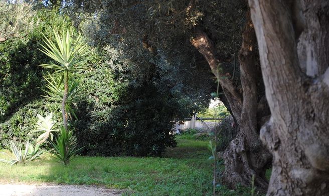 Case Vacanze Signorino Exterior