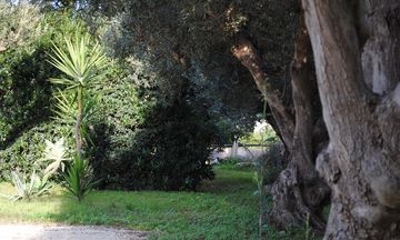 Case Vacanze Signorino