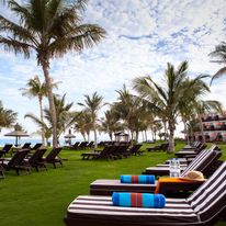 JA Palm Tree Court