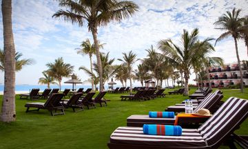JA Palm Tree Court