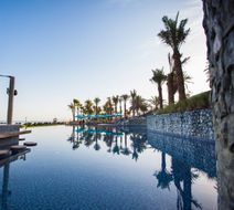 JA Palm Tree Court Pool