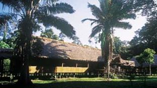 Tambopata Research Center