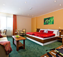 Hotel Viktor-Bratislava Room